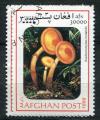 Timbre AFGHANISTAN 1999  Obl  N 1844 Mi.  Champignons