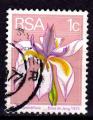 AF01 - Anne 1974 - Yvert n 359 - Gros iris blanc (Dietes grandiflora)