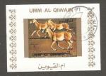 Umm al-Qiwain - X7  horse / cheval