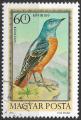 HONGRIE - 1973 - Yt PA n 361 - Ob - Oiseaux : merle