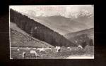 CPA 65 Hautes Pyrnes : Col d'Aspin , les pturages et le Pic du Midi ( mouton 