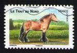 FRANCE Oblitr Used Stamp Horse Cheval Le Trait du Nord 2013 Y&T 816