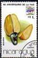 Nicaragua 1986 - Fruit (maraon), Cs 1, obl - YT 1425 / Sc 1546 