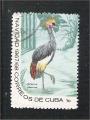 Cuba - Scott 1306    bird / oiseau