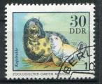 Timbre Allemagne RDA 1975  Obl   N 1716  Y&T  Phoque