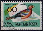 Hongrie 1961 - Oiseau : pinson des arbres, 60 f - YT 1480 