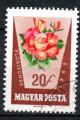 Hongrie Yvert N1516 oblitr 1962 Fleurs roses
