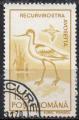 ROUMANIE N 3923 o Y&T 1991 Oiseaux (Recurvirostrais avocetta)