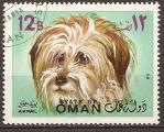 oman - 1 timbre obliter,chien - 1971