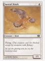 Carte Magic The Gathering / Suntail Hawk / 8 Edition.