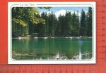 CPM  PASSY : Le Lac Vert et le Mont-Blanc