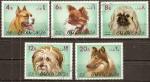 oman - 5 timbres obliters,chiens - 1971