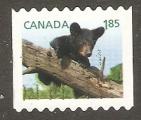 Canada - Michel 2930 mng   bear / ours