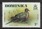 DOMINIQUE - 1976 - Yt n 479 - N** - Oiseaux : Zenaida macroura