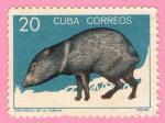 Cuba 1964.- Zoo Habana. Y&T 779. Scott 899. Michel 960.