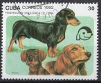 Cuba 1992; Y&T n 3193; 30c, faune, chien teckel