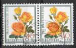 SUISSE N 914 o Y&T 1972 Roses (Rose MC Gredy's sunset)