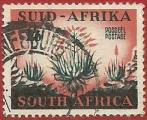 Africa del Sur 1953.- Aloe. Y&T 198. Scott 197. Michel 236.