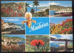 CPM  MADERE Vues diverses, MADEIRA as melhores vistas da Madeira
