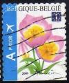 Belgique 2009 - Fleur Buzin: tulipe rose, Prior Europe - YT 3853  (Obl. vague)