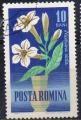 ROUMANIE N 1993 o Y&T 1964 Fleurs (Nicoltana alata)
