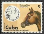 Cuba 1975; Y&T n 1889; 5c, mdecine vtrinaire, le cheval