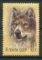 Timbre Russie & URSS 1988  Neuf **  N 5559  Y&T  Loup