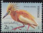 Roumanie 2021 Oblitr Oiseau Ardeola ralloides Crabier chevelu Y&T RO 6674 SU