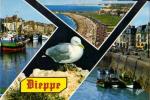 DIEPPE (76) - Multivues (port, plage, quai Duquesne & mouette)