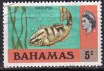 bahamas - n 306  obliter - 1971