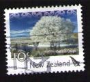NOUVELLE ZELANDE Oblitr Used Stamp Paysages Central Otago 2007 WNS NZ032.07