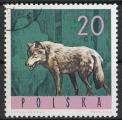 Pologne 1965; Y&T n 1483; 20gr, faune, loup