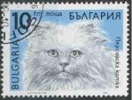 Bulgarie 1989 - Chat persan, 10 cm - YT 3289 