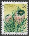 AFRIQUE DU SUD - 1977 - Yt n 418 - Ob - Fleurs : protea neriifolia