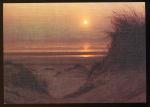 CPM Contre la Lumire Dunes Plages Mer Soleil Plaisirs de l'Et  ( toile )