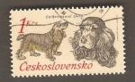 Czechoslovakia - Scott 1900 dog / chien