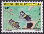 Timbre neuf ** n 536(Yvert) Haute-Volta 1981 - Insectes, grillons