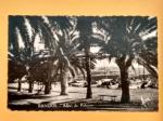 83 - BANDOL - CPSM - promenade des palmiers - oblitération daguin sanary
