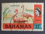 TM 326 - Bahamas 311