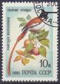 Timbre oblitr n 4839(Yvert) URSS 1981 - Oiseau