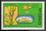 Timbre neuf ** n 572(Yvert) Sngal 1982 - Insectes nuisibles aux plantes