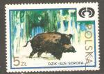 Poland - Scott 1978   wild boar / sanglier