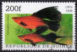1998 GUINEE obl 1255G