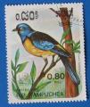 Kampuchea 1985 - Oiseau Thraupis (Obl)