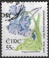 Irlande - 2007 - Yt n 1763 - Ob - Fleurs sauvages : grassette  grande fleur
