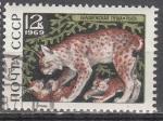 URSS 1969  Y&T  3531  oblitr   lynx