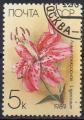 URSS N 5610 o Y&T 1989 Flore d'URSS (L. speciosum)