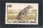 Cote Franaise de Somali - X1  leopard 