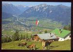 CPM  Autriche Tyrol Drrenberger Alpe  Vaches