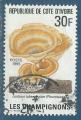Cte d'Ivoire N950 Champignon - lentinus tuber-regium oblitr